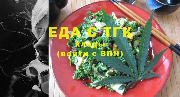 ECSTASY Ельня