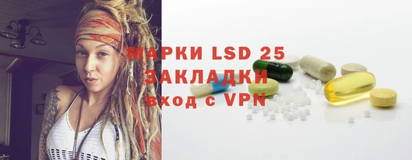 ECSTASY Ельня