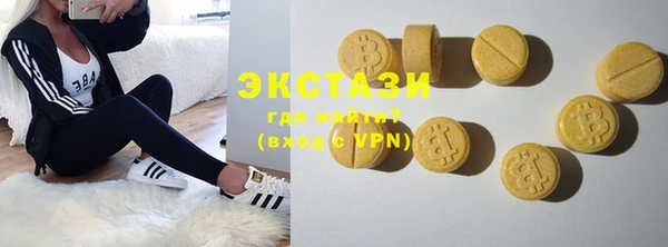 ECSTASY Ельня