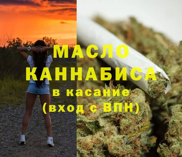 ECSTASY Ельня