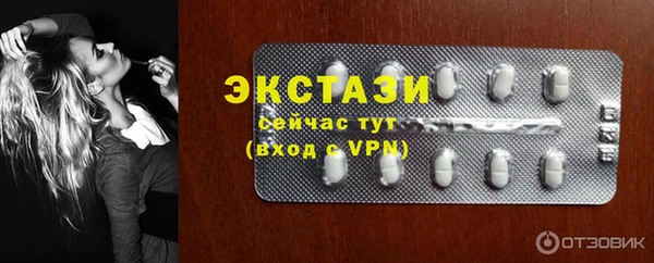 ECSTASY Ельня