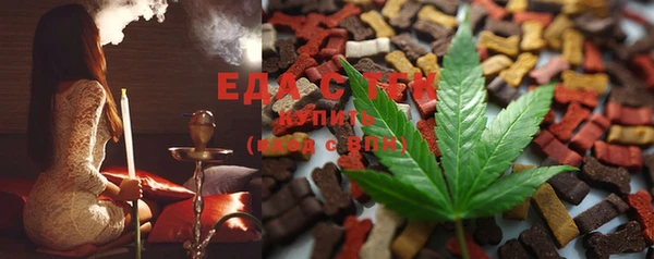 ECSTASY Ельня