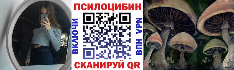 KRAKEN tor  Звенигород  Галлюциногенные грибы мицелий 