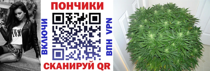 Канабис ГИДРОПОН  дарнет шоп  Звенигород 